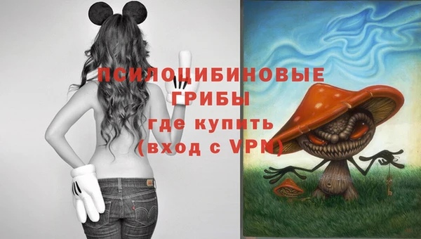 2c-b Абинск